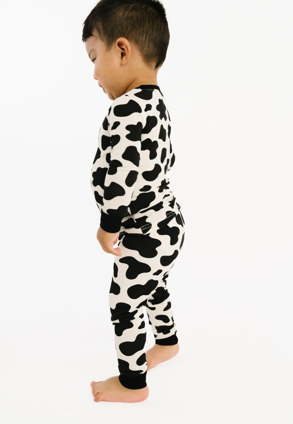 classic cow