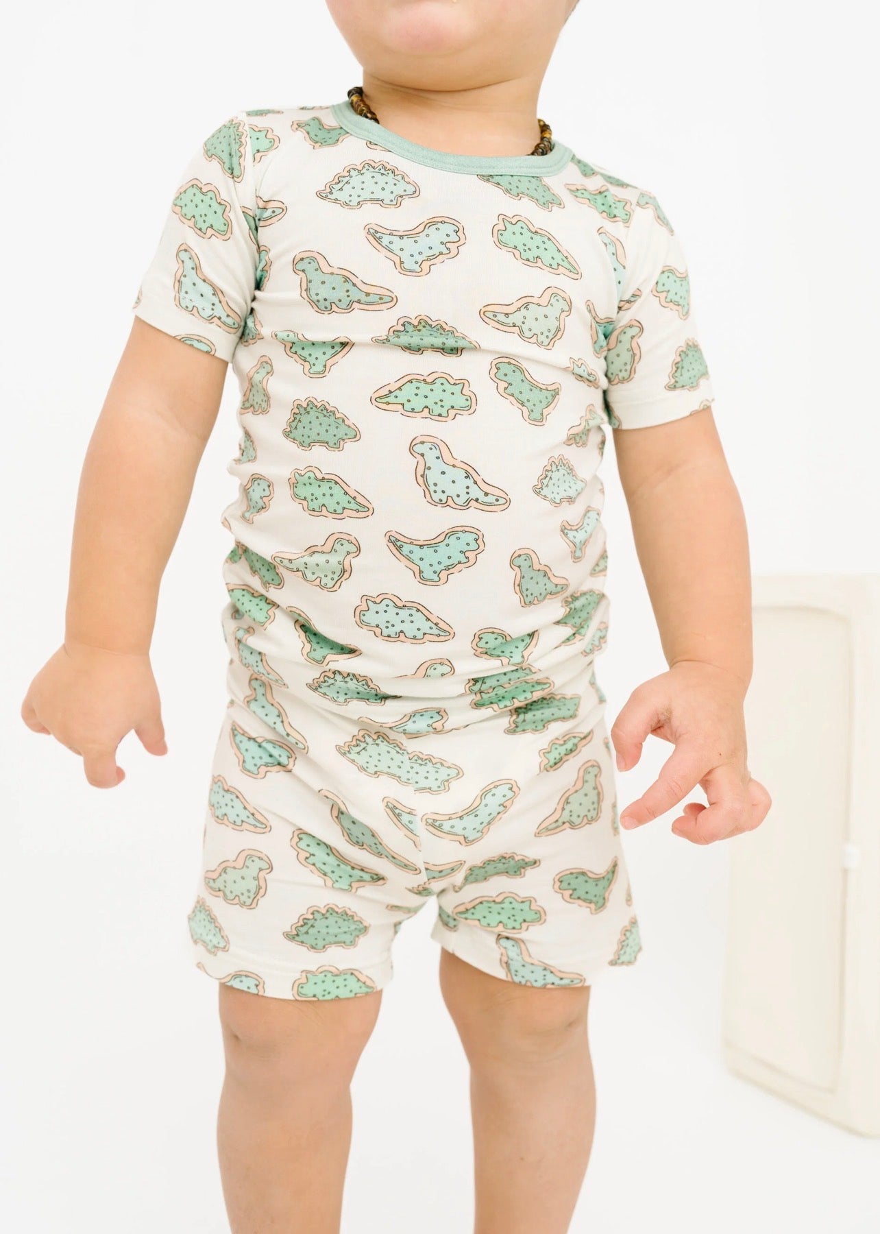 dino cookie bamboo